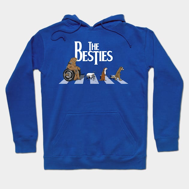 The Besties Superhero Guardian Raccoon And Friends Abbey Road Parody Hoodie by BoggsNicolas